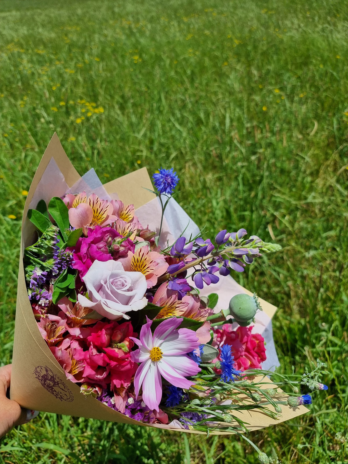 Cosmos Seed - Farmgate Flowers Mix