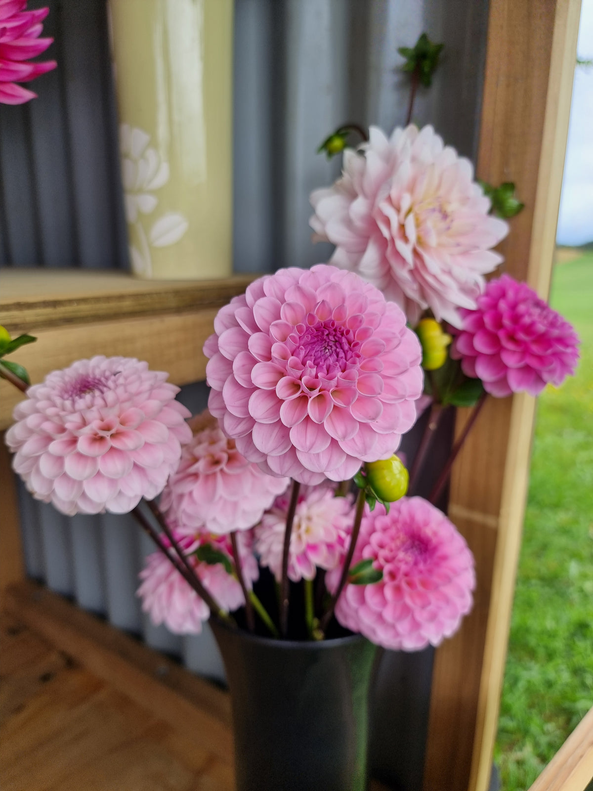 Wizard of oz