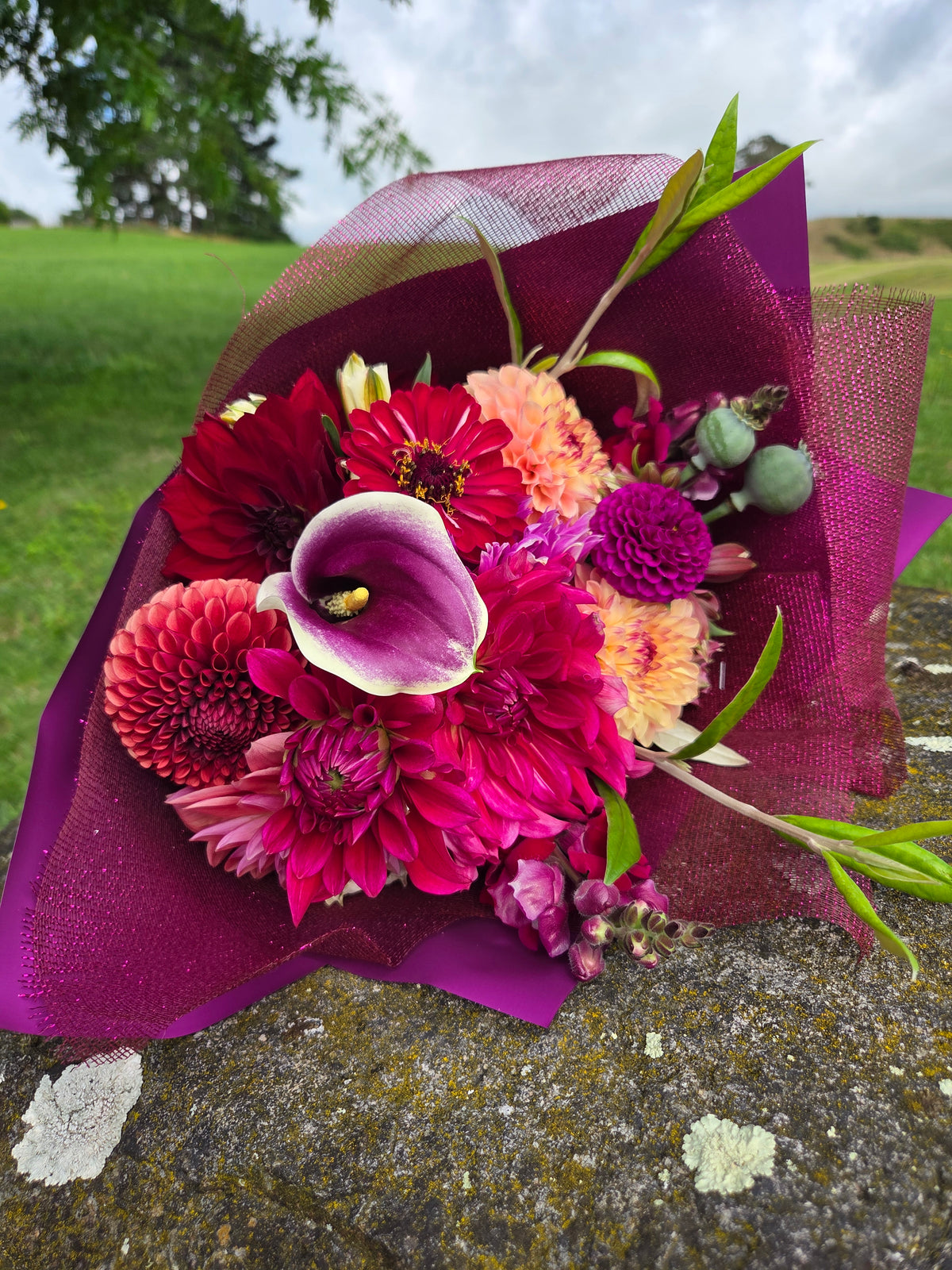 Purple Poppy seeds