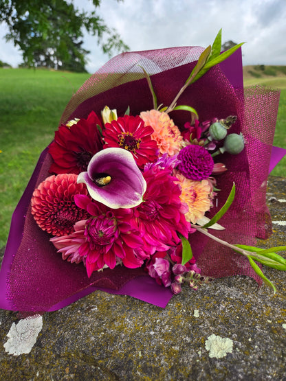 Purple Poppy seeds