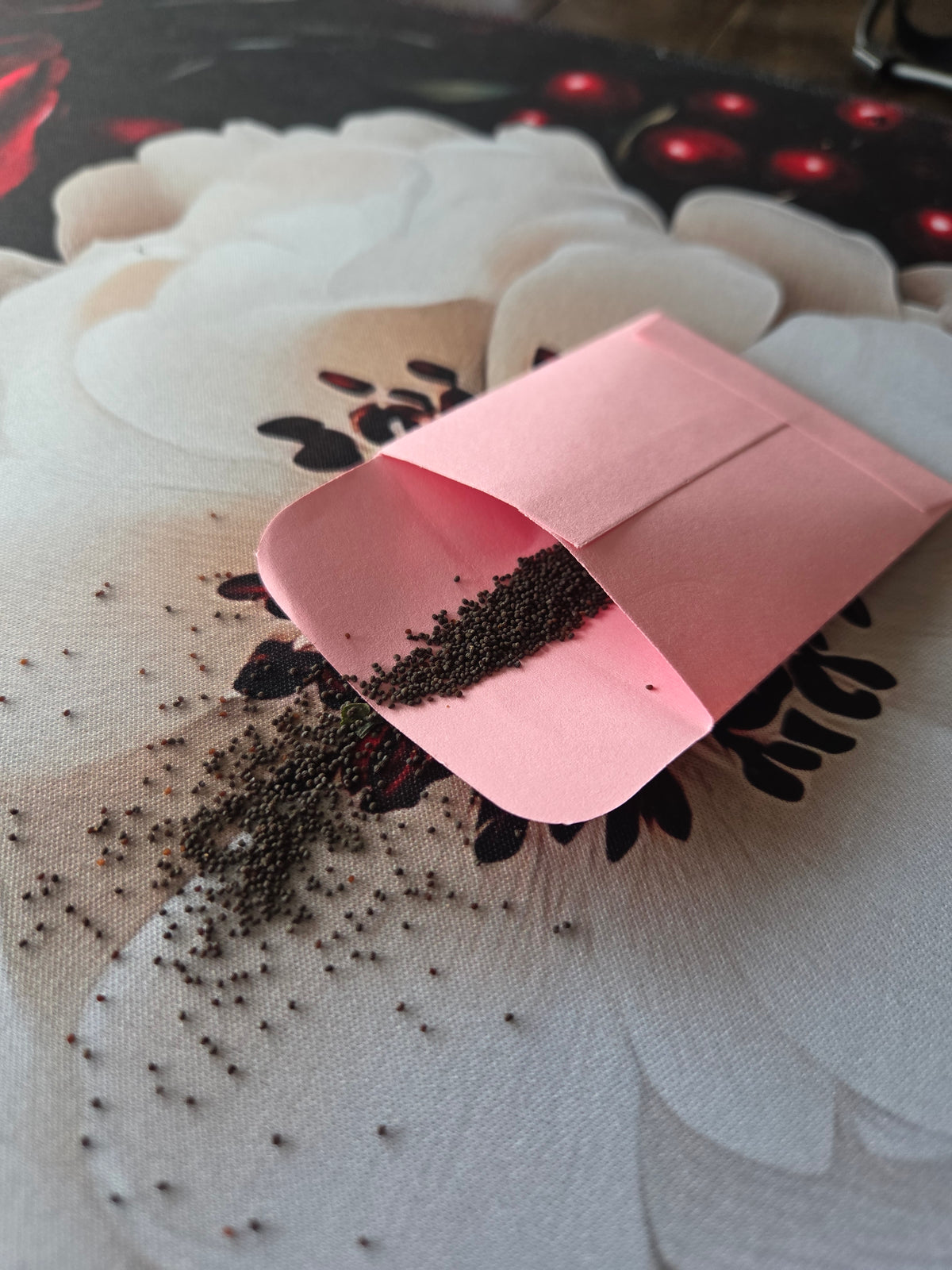 Purple Poppy seeds