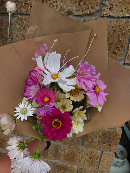 Cosmos Seed - Farmgate Flowers Mix